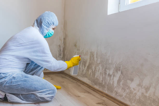 Hvac And Air Duct Mold Remediation inspection of HVAC system in Celina